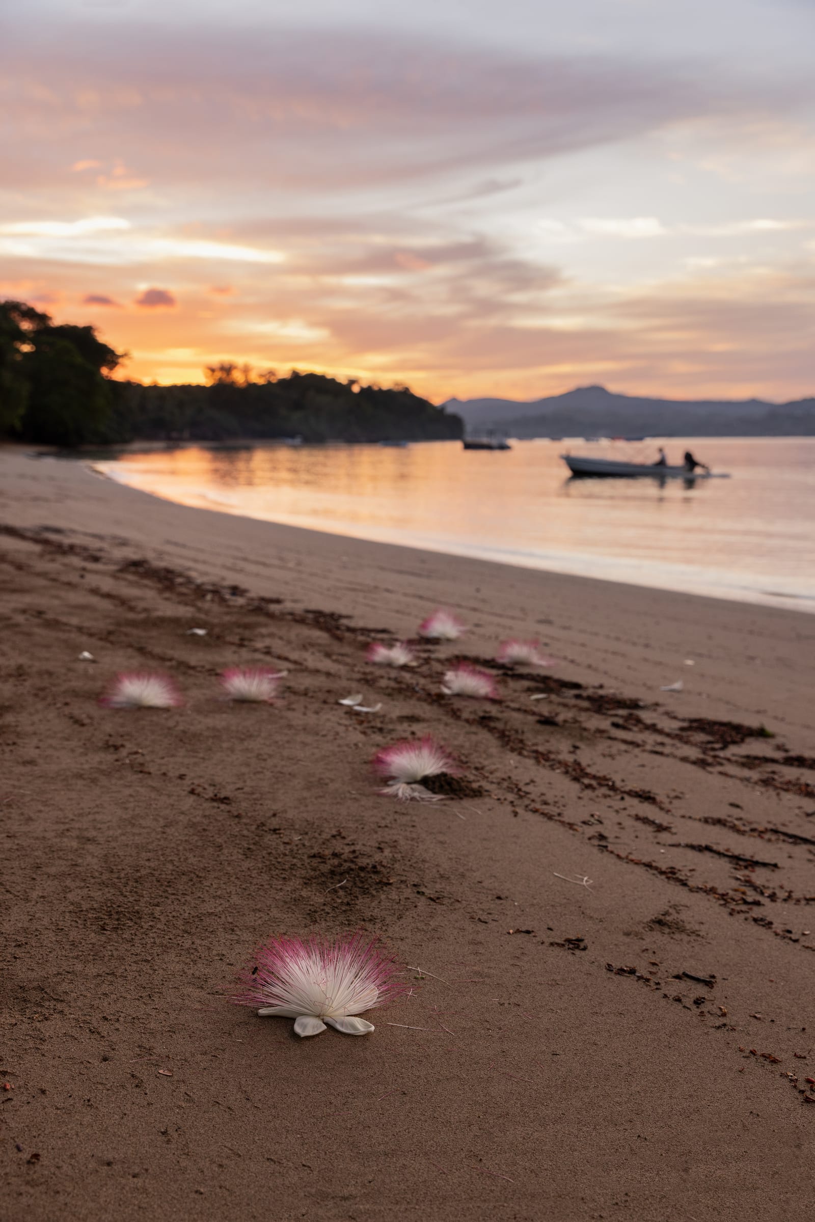 Beach at Sakatia Lodge