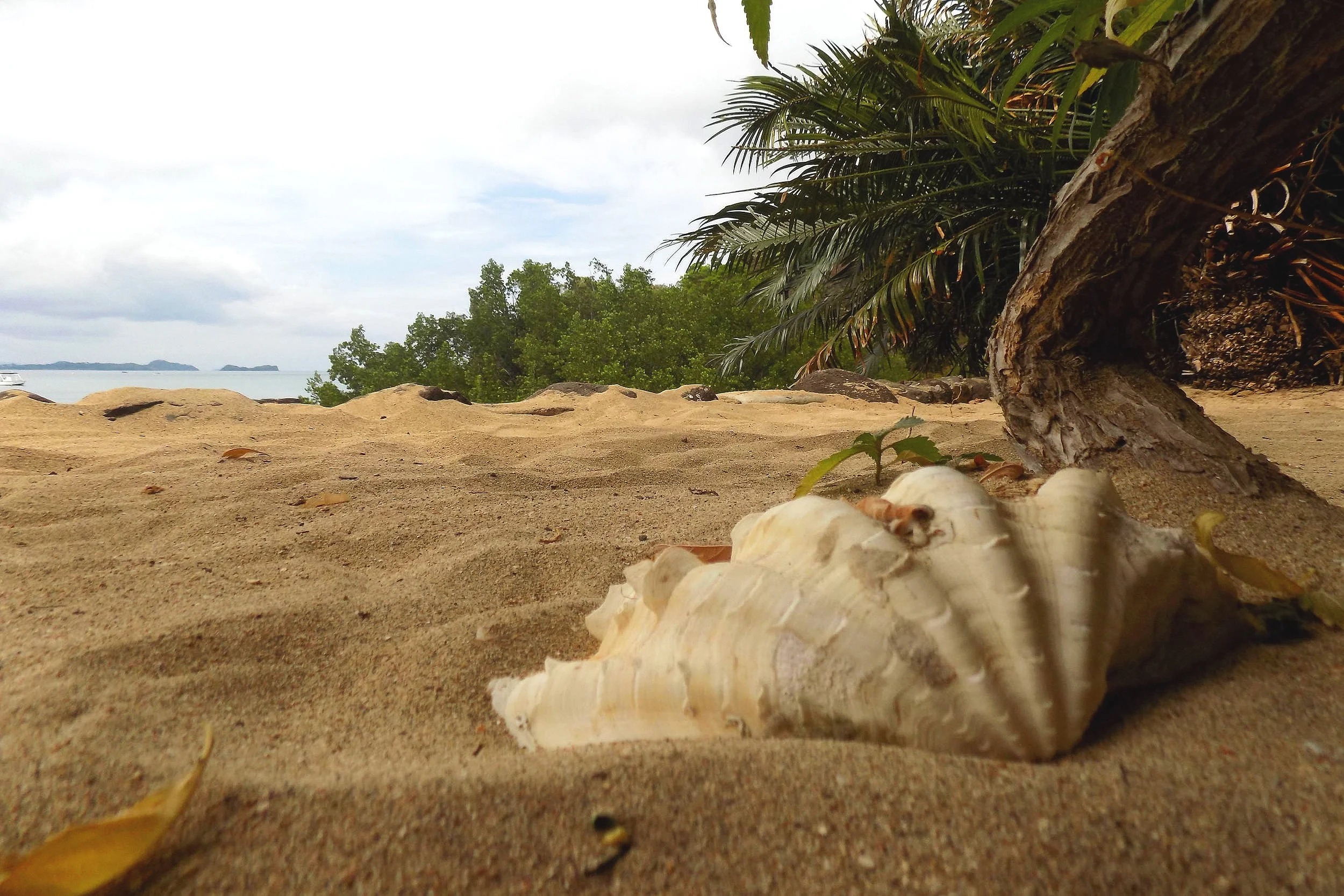 Beach bungalow at Sakatia Lodge