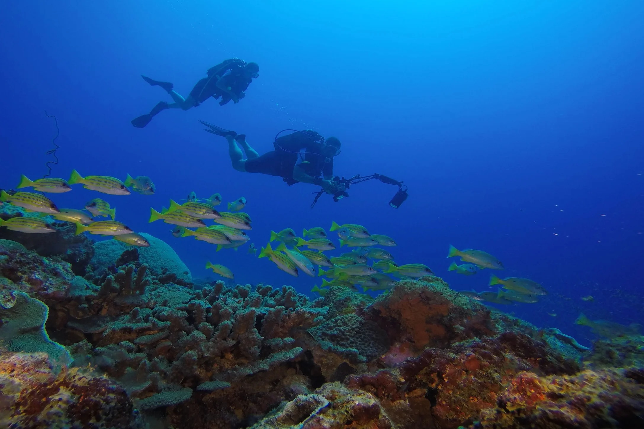 Certified divers at Nosy Sakatia